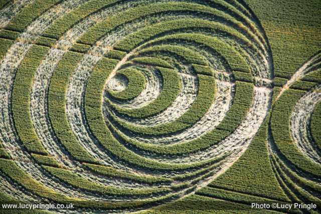 Avebury Trusloe, Wiltshire crop circle, aerial photo 3