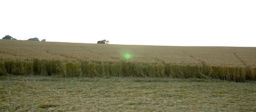 Crop Circle atBarbury Castle, Wiltshire crop circle, aerial photo 24