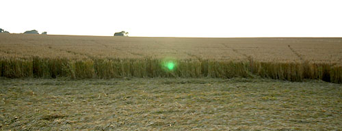 Crop Circle atBarbury Castle, Wiltshire crop circle, aerial photo 26