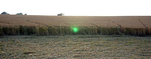 Crop Circle atBarbury Castle, Wiltshire crop circle, aerial photo 27
