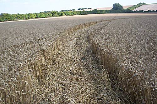 Blowingstone Hill, Oxfordshire crop circle, aerial photo 54