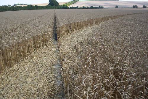 Blowingstone Hill, Oxfordshire crop circle, aerial photo 56