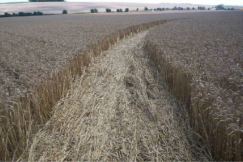 Blowingstone Hill, Oxfordshire crop circle, aerial photo 59