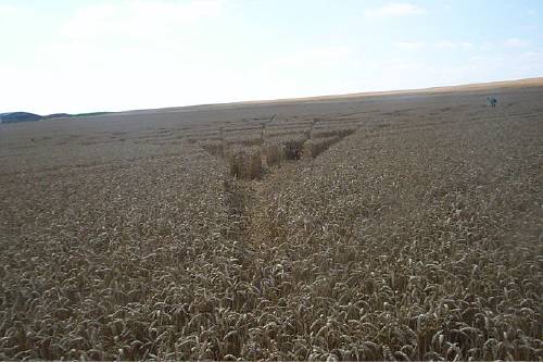 Blowingstone Hill, Oxfordshire crop circle, aerial photo 60