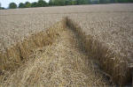 Blowingstone Hill, Oxfordshire crop circle, aerial photo 75