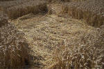 Blowingstone Hill, Oxfordshire crop circle, aerial photo 71