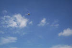 Blowingstone Hill, Oxfordshire crop circle, aerial photo 77