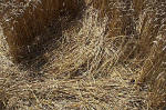 Blowingstone Hill, Oxfordshire crop circle, aerial photo 76