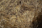 Blowingstone Hill, Oxfordshire crop circle, aerial photo 64