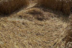 Blowingstone Hill, Oxfordshire crop circle, aerial photo 69