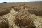 Blowingstone Hill, Oxfordshire crop circle, aerial photo 66