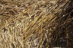 Blowingstone Hill, Oxfordshire crop circle, aerial photo 70
