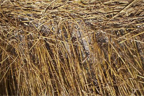 Blowingstone Hill, Oxfordshire crop circle, aerial photo 57
