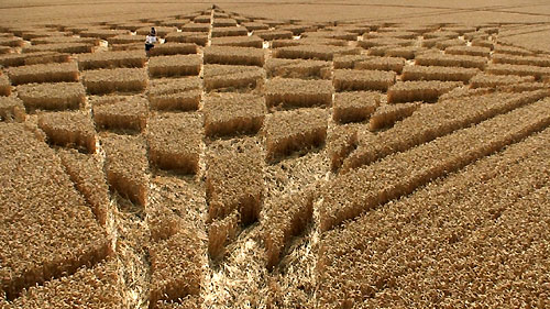 Blowingstone Hill, Oxfordshire crop circle, aerial photo 27