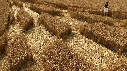 Blowingstone Hill, Oxfordshire crop circle, aerial photo 28