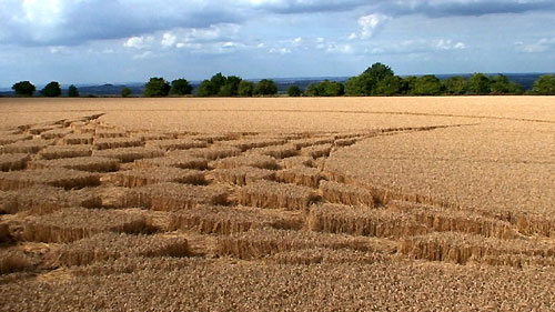 Blowingstone Hill, Oxfordshire crop circle, aerial photo 30