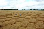 Blowingstone Hill, Oxfordshire crop circle, aerial photo 11