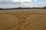 Blowingstone Hill, Oxfordshire crop circle, aerial photo 13