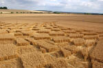 Blowingstone Hill, Oxfordshire crop circle, aerial photo 14