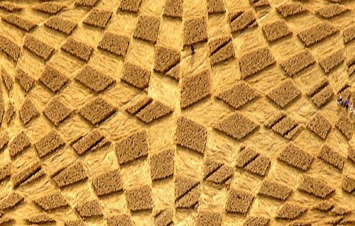 Blowingstone Hill, Oxfordshire crop circle, aerial photo 9