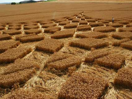 Blowingstone Hill, Oxfordshire crop circle, aerial photo 33