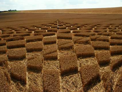 Blowingstone Hill, Oxfordshire crop circle, aerial photo 34