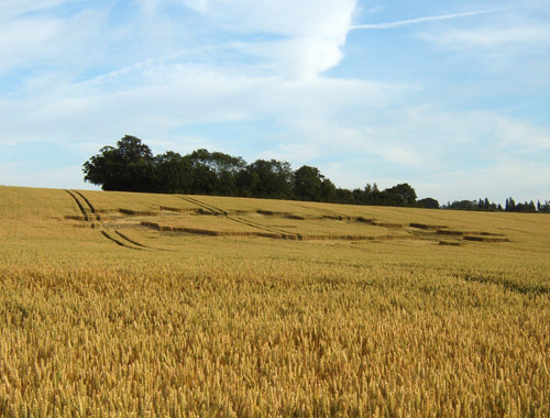 Boxley, Kent crop circle, aerial photo 8