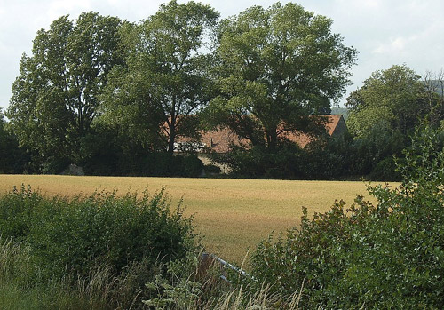 Boxley, Kent crop circle, aerial photo 11