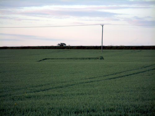 Thunderhill Farm, Norfolk crop circle, aerial photo 3