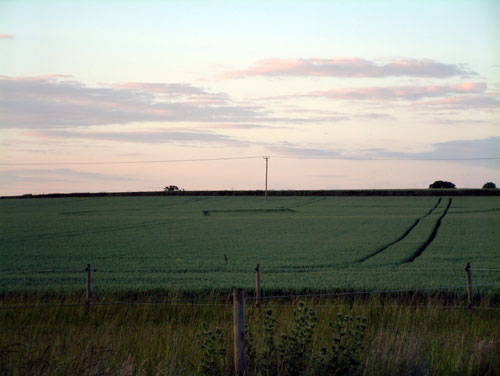 Thunderhill Farm, Norfolk crop circle, aerial photo 4