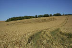 New Barn, Wiltshire crop circle, aerial photo 6