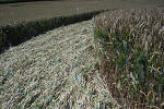 New Barn, Wiltshire crop circle, aerial photo 7
