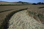 New Barn, Wiltshire crop circle, aerial photo 8