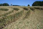 New Barn, Wiltshire crop circle, aerial photo 10