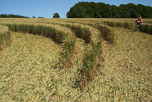 New Barn, Wiltshire crop circle, aerial photo 2