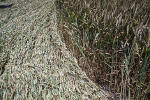 New Barn, Wiltshire crop circle, aerial photo 11