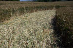 New Barn, Wiltshire crop circle, aerial photo 17