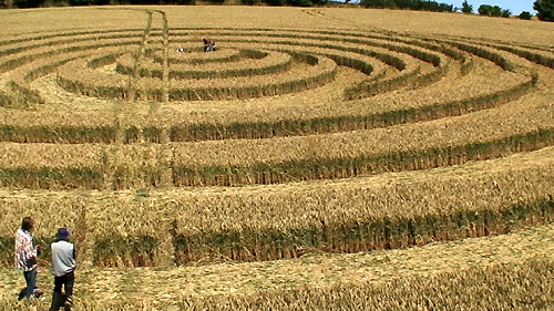 New Barn, Wiltshire crop circle, aerial photo 26