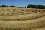 New Barn, Wiltshire crop circle, aerial photo 29