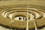 New Barn, Wiltshire crop circle, aerial photo 28