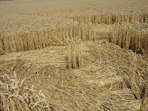 Cheesefoot Head, Hampshire crop circle, aerial photo 5