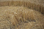 East Field, Wiltshire crop circle, aerial photo 28