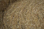 East Field, Wiltshire crop circle, aerial photo 35