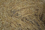 East Field, Wiltshire crop circle, aerial photo 38
