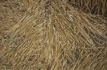 East Field, Wiltshire crop circle, aerial photo 31