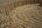 East Field, Wiltshire crop circle, aerial photo 29