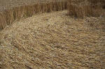 East Field, Wiltshire crop circle, aerial photo 25