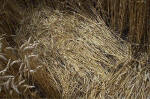 East Field, Wiltshire crop circle, aerial photo 18