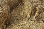 East Field, Wiltshire crop circle, aerial photo 36