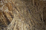 East Field, Wiltshire crop circle, aerial photo 30